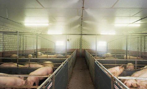 Hoggery-deodorization(001)