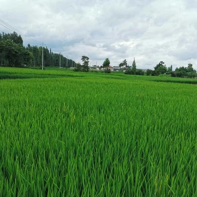 Frost-proof irrigation Frost-proof irrigation